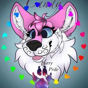 Meet your Posher, Candy